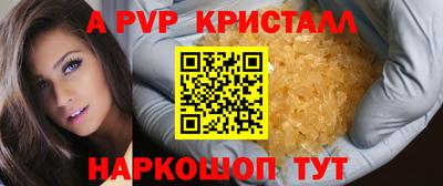 спайс Гусев