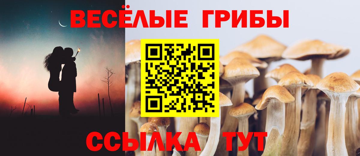 Нижневартовск  Галлюциногенные грибы Cubensis  Вход с VPN 